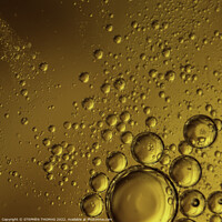Buy canvas prints of Golden Bubbles- Water and Oil Abstract by STEPHEN THOMAS