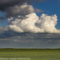 Buy canvas prints of Big Clouds Over Southern Manitoba by STEPHEN THOMAS
