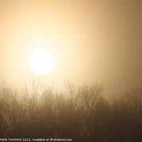 Buy canvas prints of Foggy Morning Sun by STEPHEN THOMAS