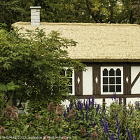 Buy canvas prints of A Hut in a English Garden by STEPHEN THOMAS