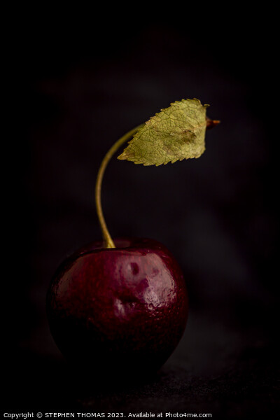 Cherry With Leaf Picture Board by STEPHEN THOMAS