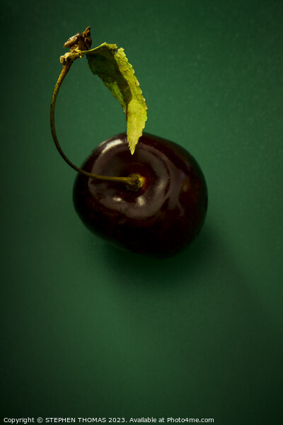 Cherry with leaf on green Picture Board by STEPHEN THOMAS