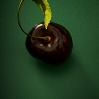 Buy canvas prints of Cherry with leaf on green by STEPHEN THOMAS
