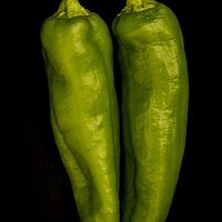Buy canvas prints of Green Chilli Peppers by STEPHEN THOMAS