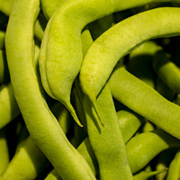 Buy canvas prints of Green Beans Close-up by STEPHEN THOMAS