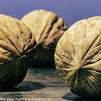 Buy canvas prints of 3 Walnuts by STEPHEN THOMAS
