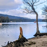 Buy canvas prints of Lake Windermere on at winters day at fell foot  by Pelin Bay