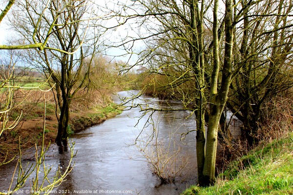 River Wyre in Spring  Picture Board by Pelin Bay