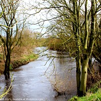 Buy canvas prints of River Wyre in Spring  by Pelin Bay