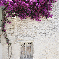 Buy canvas prints of Old Greek Window with bougainvillea flowers, Corfu by Neil Overy