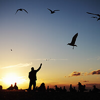Buy canvas prints of Man feeding seagulls on Brighton Beach by Neil Overy