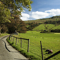 Buy canvas prints of Valley and Road to the North of Ambleside by Neil Overy