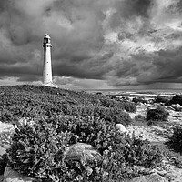 Buy canvas prints of Slangkop Lighthouse, Kommetjie, near Cape Town by Neil Overy