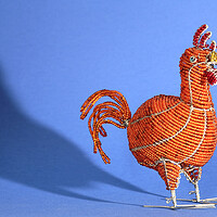Buy canvas prints of African Wire Chicken by Neil Overy