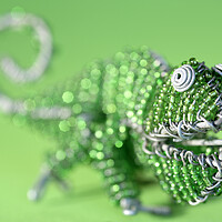Buy canvas prints of African Wire Chameleon by Neil Overy