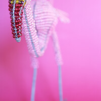 Buy canvas prints of African Wire Flamingo by Neil Overy