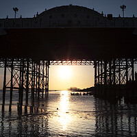 Buy canvas prints of Brighton Pier Sunset by Neil Overy