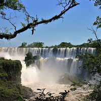Buy canvas prints of Iguazu Falls by David Gardener