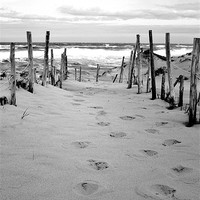 Buy canvas prints of Footprints in the Sand by David Gardener