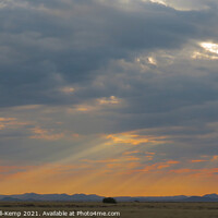 Buy canvas prints of Sunrise over Mountain Zebra National Park by Adrian Turnbull-Kemp