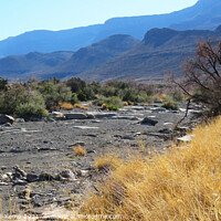Buy canvas prints of Dry river bed by Adrian Turnbull-Kemp