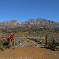 Buy canvas prints of Bitter aloes framing a farm gate  by Adrian Turnbull-Kemp