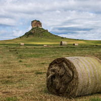 Buy canvas prints of Hay harvest below Surrender Hill by Adrian Turnbull-Kemp