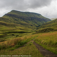 Buy canvas prints of Footpath, Cathedral Peak Nature Reserve by Adrian Turnbull-Kemp