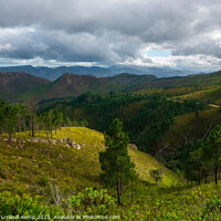 Buy canvas prints of Descending into a verdant valley by Adrian Turnbull-Kemp