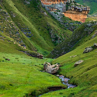 Buy canvas prints of Mountain ravine below Langtoon Dam, Golden Gate Highlands National Park, Free State. by Adrian Turnbull-Kemp