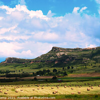 Buy canvas prints of Field of hay bales near Fouriesburg, Free State, South Africa by Adrian Turnbull-Kemp