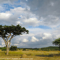 Buy canvas prints of Looming storm clouds, Spioenkop Nature Reserve, Kwazulu Natal by Adrian Turnbull-Kemp