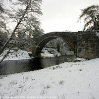 Buy canvas prints of Brig o Doon Winter by Alister Firth Photography
