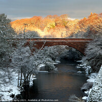 Buy canvas prints of Winter Sunrise over the The River Doon by Alister Firth Photography