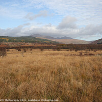 Buy canvas prints of Macrie Moor, Isle of Arran by Alister Firth Photography