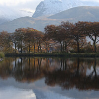 Buy canvas prints of Ben Nevis by Alister Firth Photography