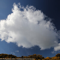 Buy canvas prints of Cloud above yellow gorse by Alister Firth Photography