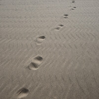 Buy canvas prints of Footprints by Alister Firth Photography