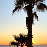 Buy canvas prints of Sunrise and palm trees by Deborah Welfare