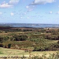 Buy canvas prints of Poole harbour panoramic view by Deborah Welfare