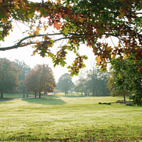 Buy canvas prints of Golden Autumn in Heaton Park, Manchester, United K by Kateryna Tyshkul