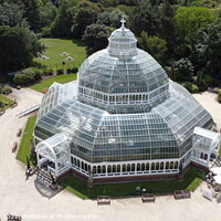 Buy canvas prints of Palm House  by Ian Fairbrother