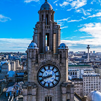 Buy canvas prints of Liverbirds by Ian Fairbrother