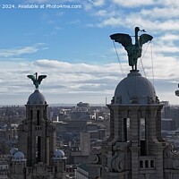 Buy canvas prints of Liverbirds by Ian Fairbrother