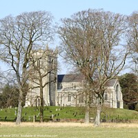 Buy canvas prints of St Withburga church in Holkham Hall estate surrounded by trees by Joan Rosie