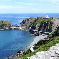 Buy canvas prints of Looking down at the Landing Stage and Lighthouse on Lundy by Joan Rosie