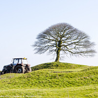 Buy canvas prints of Tree on hill Grindon, Peak District by Angela Lilley