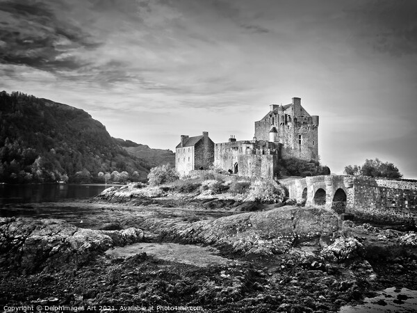 Eilean Donan castle, Scotland, Black and white Picture Board by Delphimages Art