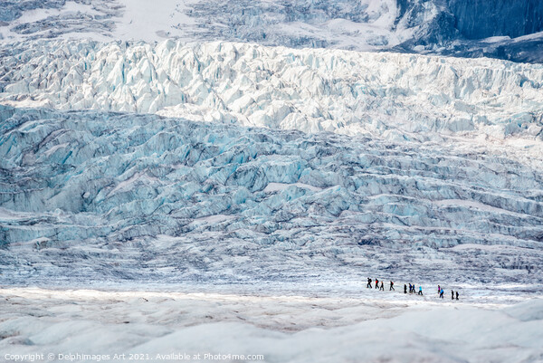 Icewalk on Athabasca glacier, Columbia icefield Picture Board by Delphimages Art