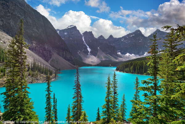 Moraine lake, Banff National Park, Canada Picture Board by Delphimages Art